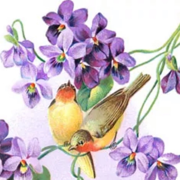 Meet your Posher, Tina-Louise - Picture 1 of 1